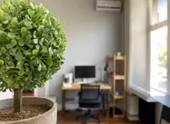 Green office